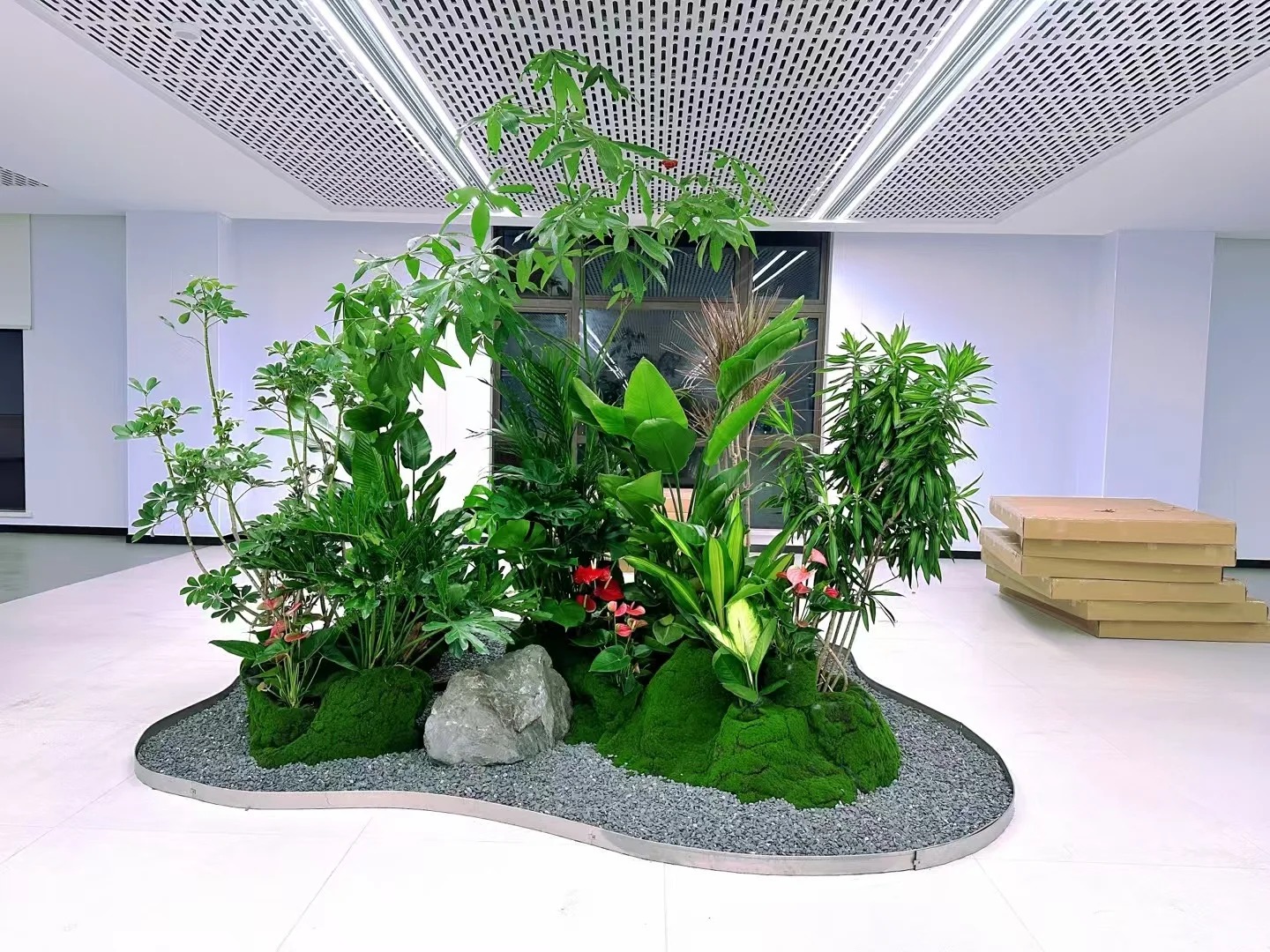 宁波花卉租摆流行度-宁波员工福利绿植租赁价格-江北办公室花木出租-宁波花卉租摆推广
